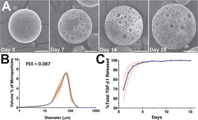 Immunosuppressive PLGA TGF-β1 Microparticles Induce Polyclonal and Antigen-Specific Regulatory T Cells for Local Immunomodulation of Allogeneic Islet Transplants